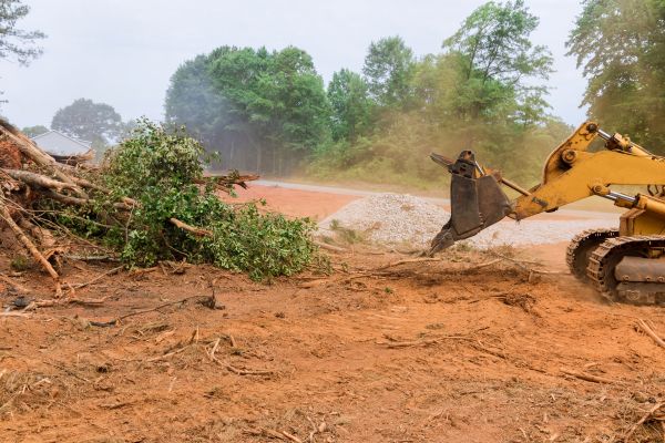 Ground Clearing in Carlisle