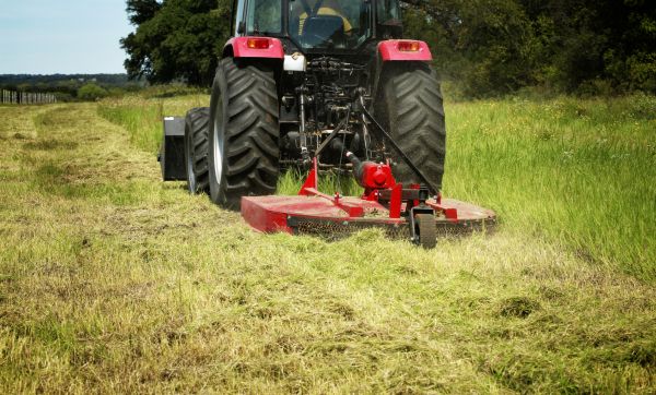 Brush Clearing Service in Carlisle
