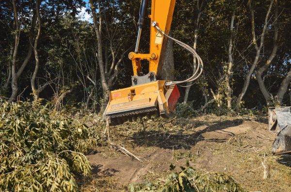 Brush Removal Service in Carlisle