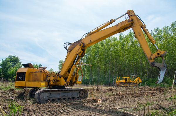 Farm Clearing in Carlisle