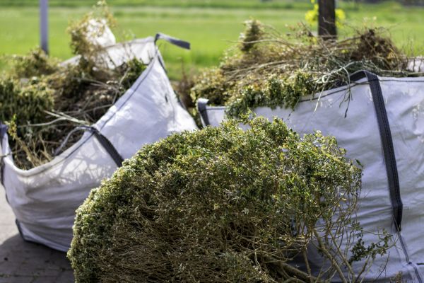 Cost of Bushes Clearing in Carlisle