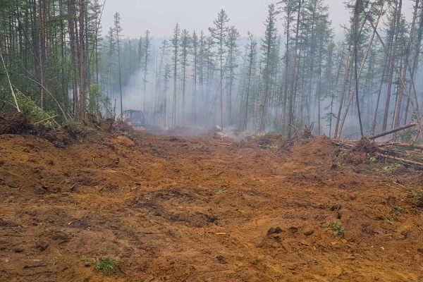 Cost of Hill Clearing in Carlisle